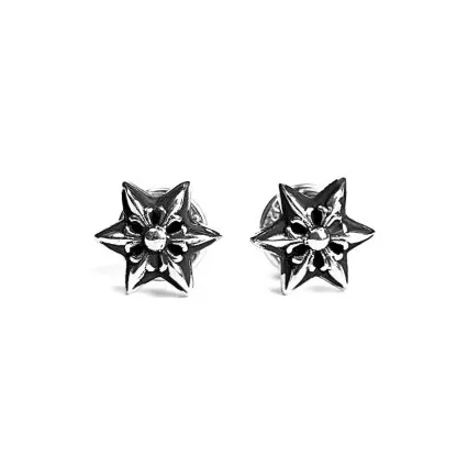 Cut out Star Earring 1